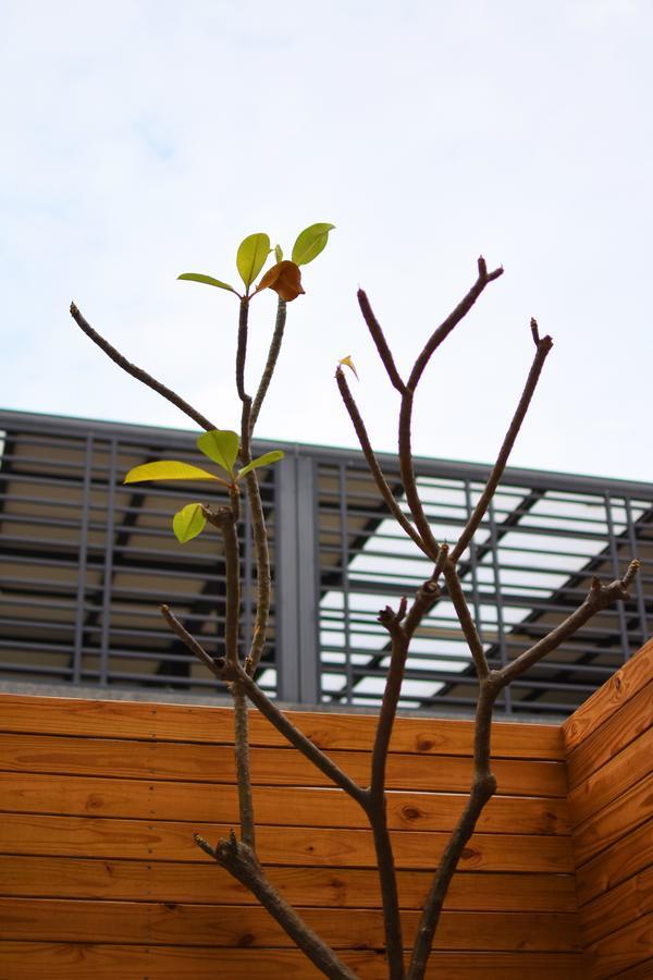 Jungle Long S T A Y Tainan Exterior foto